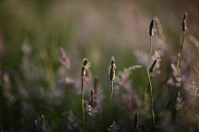 传Arkane开放世界FPS《红霞岛》2023年5月发售